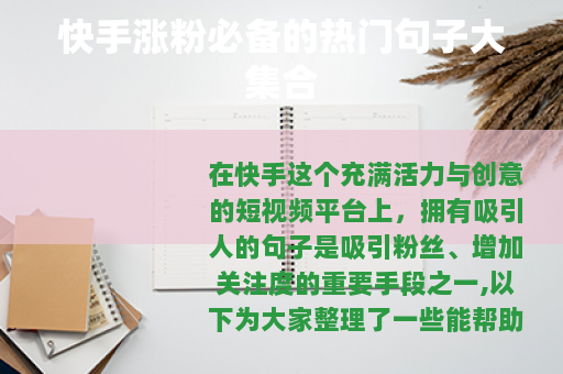 快手涨粉必备的热门句子大集合