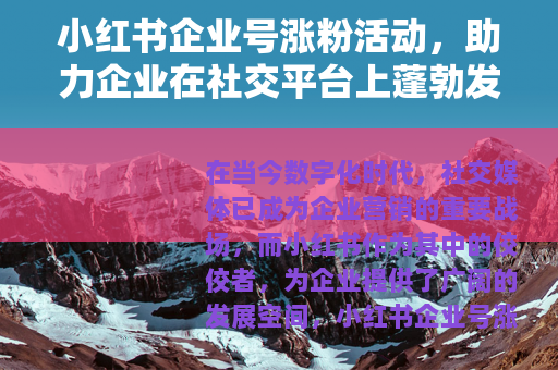 小红书企业号涨粉活动，助力企业在社交平台上蓬勃发展