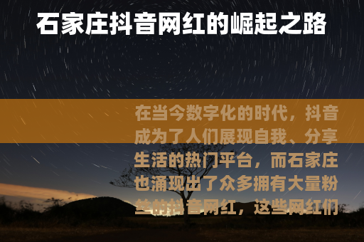 石家庄抖音网红的崛起之路