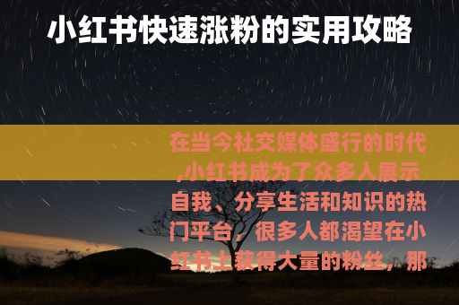 小红书快速涨粉的实用攻略