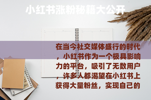 小红书涨粉秘籍大公开