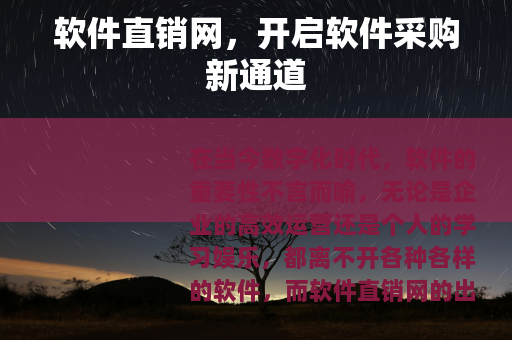 软件直销网，开启软件采购新通道