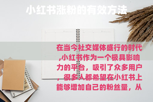 小红书涨粉的有效方法