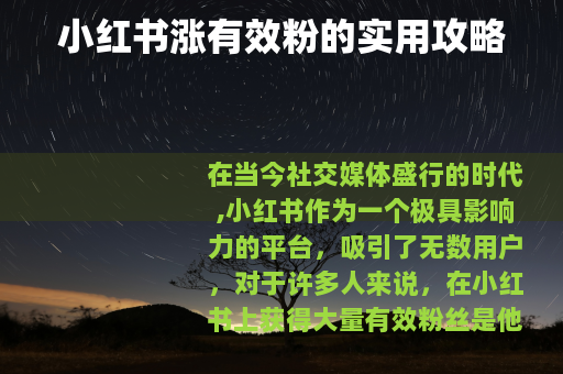 小红书涨有效粉的实用攻略