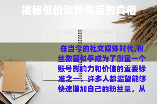 揭秘低价涨粉背后的真相