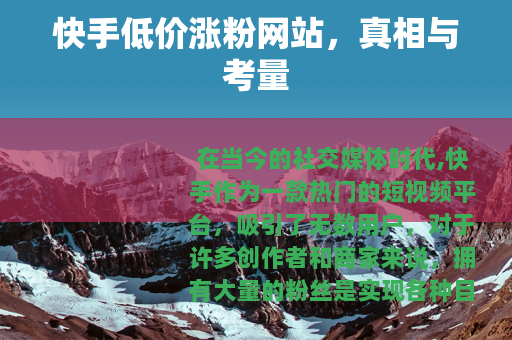 快手低价涨粉网站，真相与考量