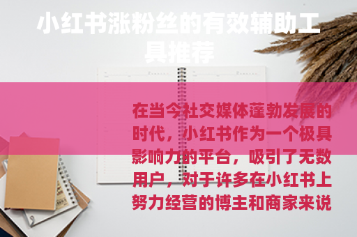 小红书涨粉丝的有效辅助工具推荐