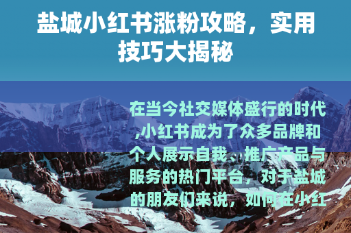 盐城小红书涨粉攻略，实用技巧大揭秘