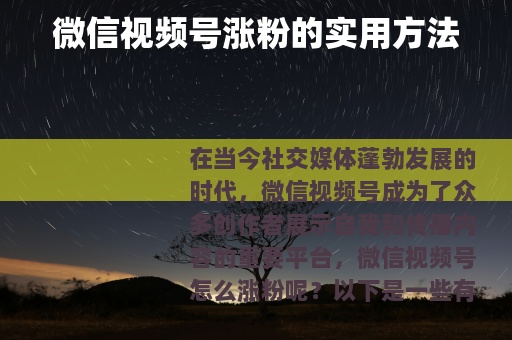 微信视频号涨粉的实用方法