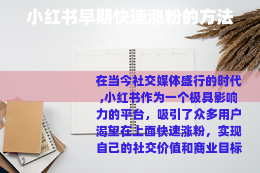 小红书早期快速涨粉的方法