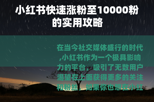 小红书快速涨粉至10000粉的实用攻略