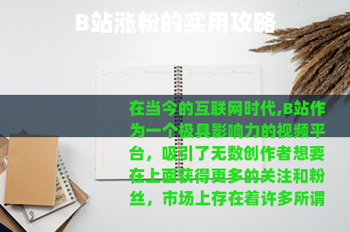 B站涨粉的实用攻略