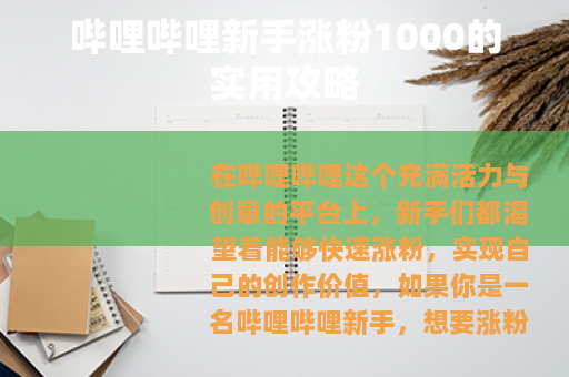 哔哩哔哩新手涨粉1000的实用攻略