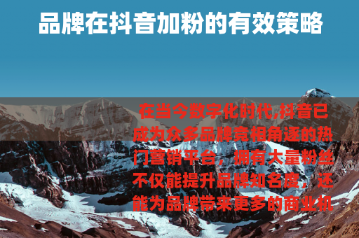 品牌在抖音加粉的有效策略