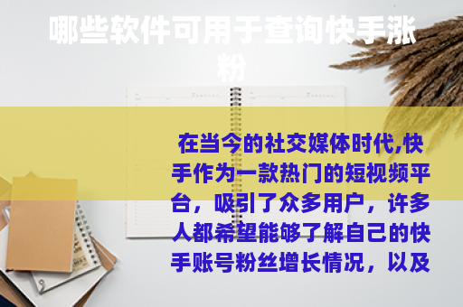 哪些软件可用于查询快手涨粉