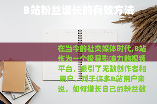 B站粉丝增长的有效方法