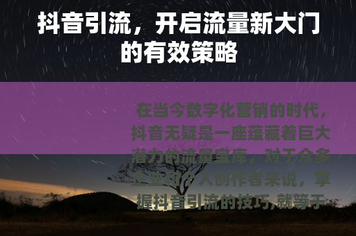 抖音引流，开启流量新大门的有效策略