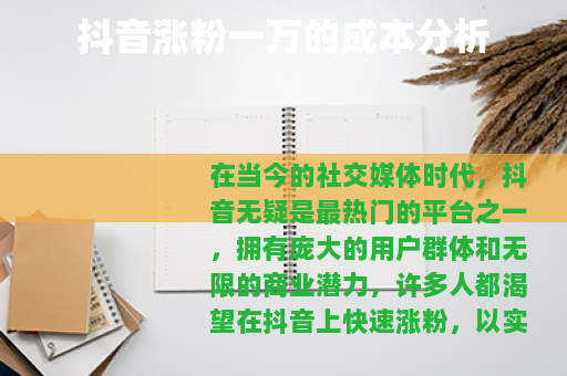 抖音涨粉一万的成本分析