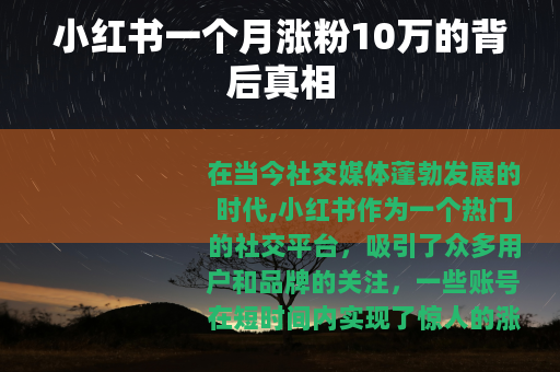 小红书一个月涨粉10万的背后真相