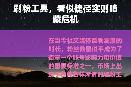 刷粉工具，看似捷径实则暗藏危机