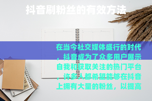 抖音刷粉丝的有效方法