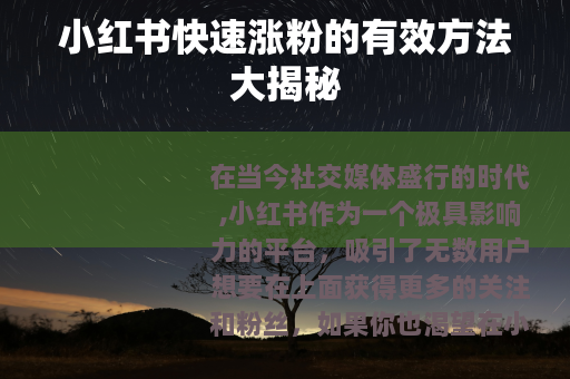 小红书快速涨粉的有效方法大揭秘