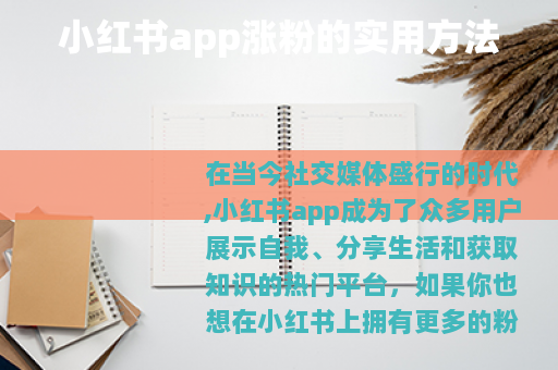 小红书app涨粉的实用方法