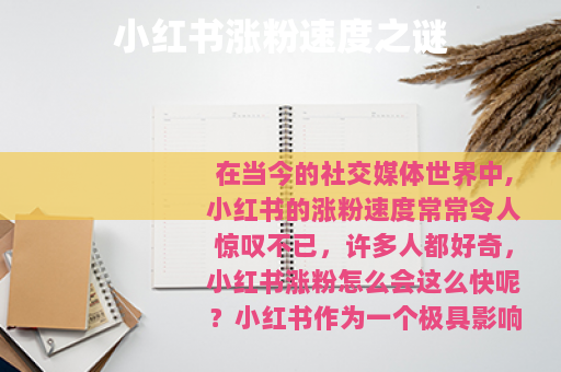 小红书涨粉速度之谜