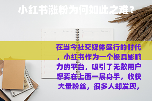 小红书涨粉为何如此之难？