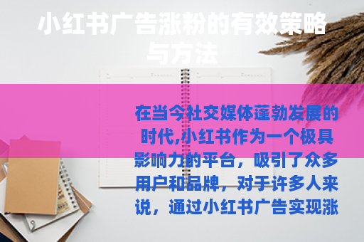 小红书广告涨粉的有效策略与方法