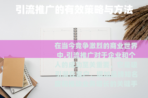 引流推广的有效策略与方法