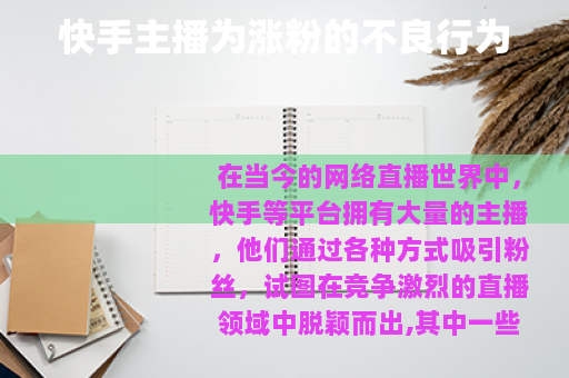 快手主播为涨粉的不良行为