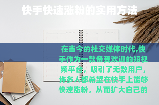 快手快速涨粉的实用方法