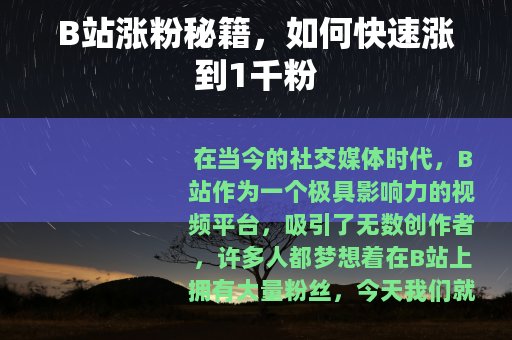 B站涨粉秘籍，如何快速涨到1千粉