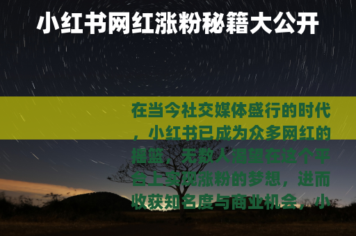 小红书网红涨粉秘籍大公开