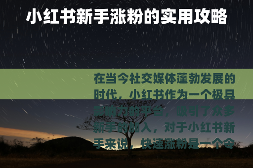 小红书新手涨粉的实用攻略