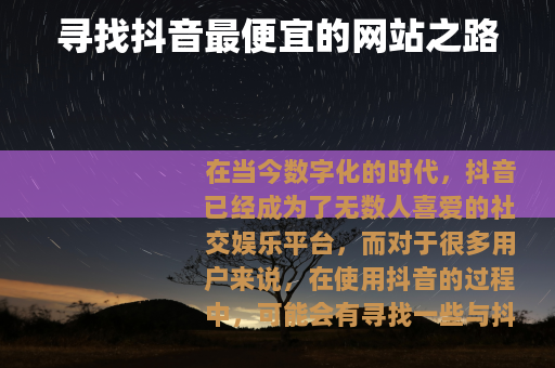 寻找抖音最便宜的网站之路