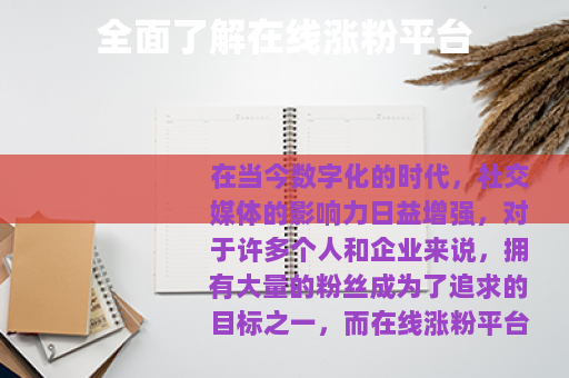 全面了解在线涨粉平台