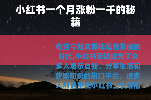 小红书一个月涨粉一千的秘籍