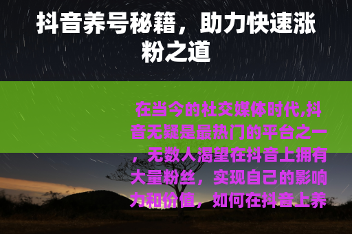 抖音养号秘籍，助力快速涨粉之道