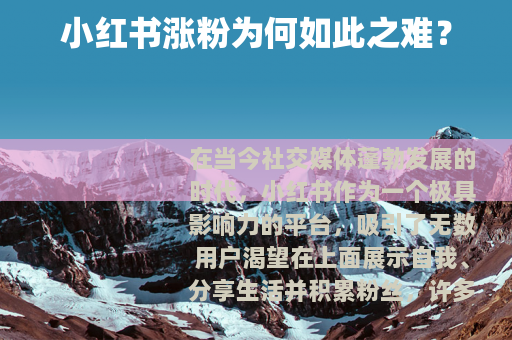 小红书涨粉为何如此之难？