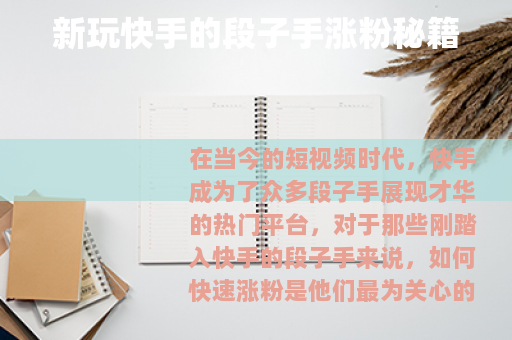 新玩快手的段子手涨粉秘籍