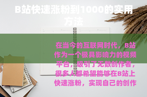 B站快速涨粉到1000的实用方法