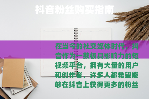 抖音粉丝购买指南