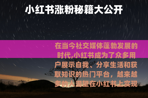 小红书涨粉秘籍大公开