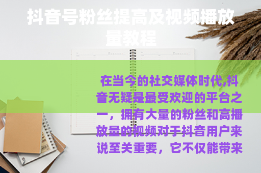 抖音号粉丝提高及视频播放量教程