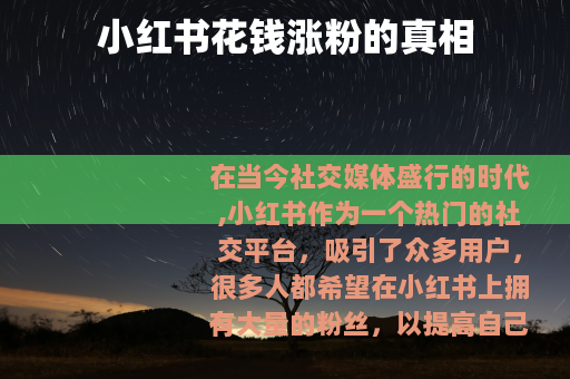 小红书花钱涨粉的真相