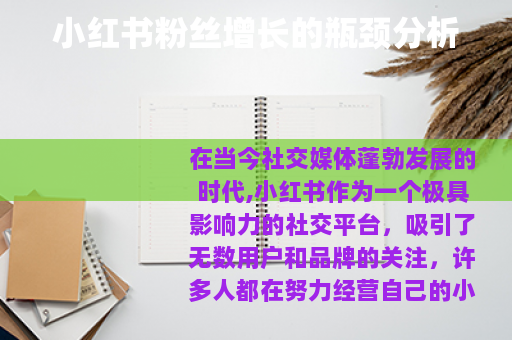 小红书粉丝增长的瓶颈分析