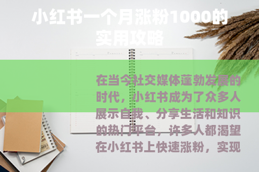 小红书一个月涨粉1000的实用攻略