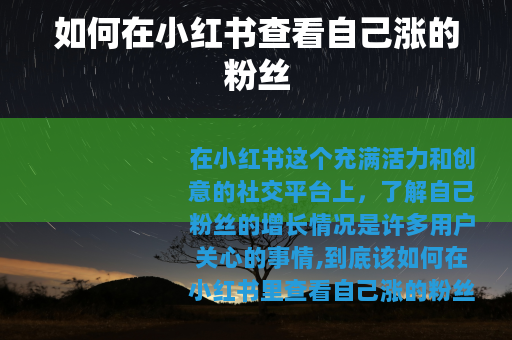 如何在小红书查看自己涨的粉丝